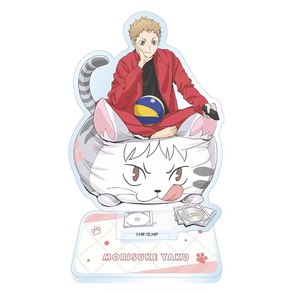 Volleyball Boys Animation Acry - Men'S Volleyball Accessories ulasan dan harga
